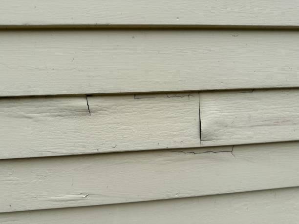 Best Siding Removal and Disposal  in Muhlenberg Rk, PA